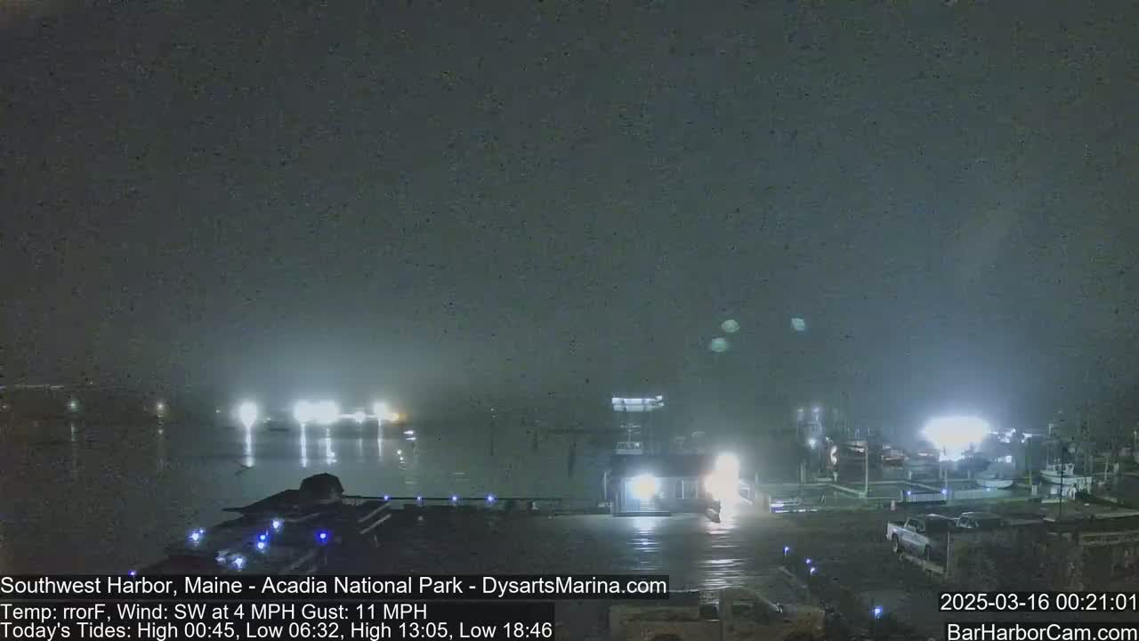 A nighttime view of a harbor with lights reflecting on wet surfaces under a dark, misty sky.