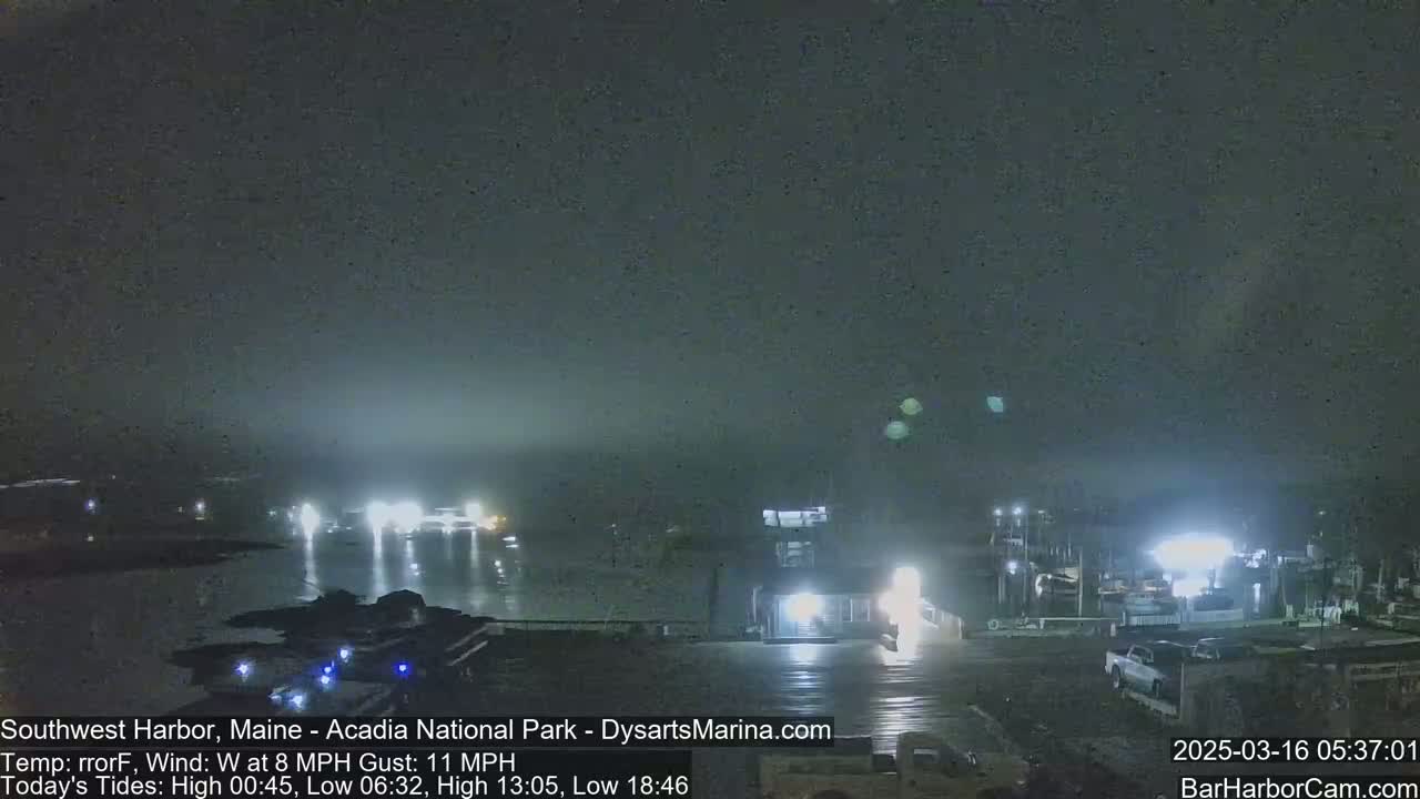 A nighttime harbor scene shows a body of water with boats and a marina under foggy or misty conditions.