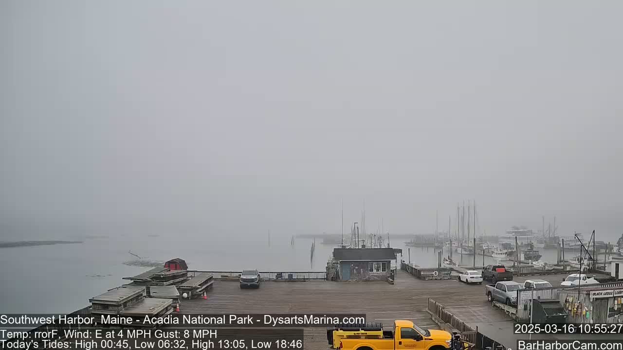 A foggy harbor scene shows a dock with several vehicles, a small building, and numerous boats moored in the distance.
