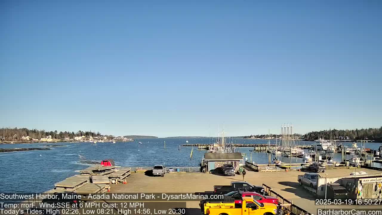 A harbor filled with numerous boats under a clear blue sky, with a light breeze.