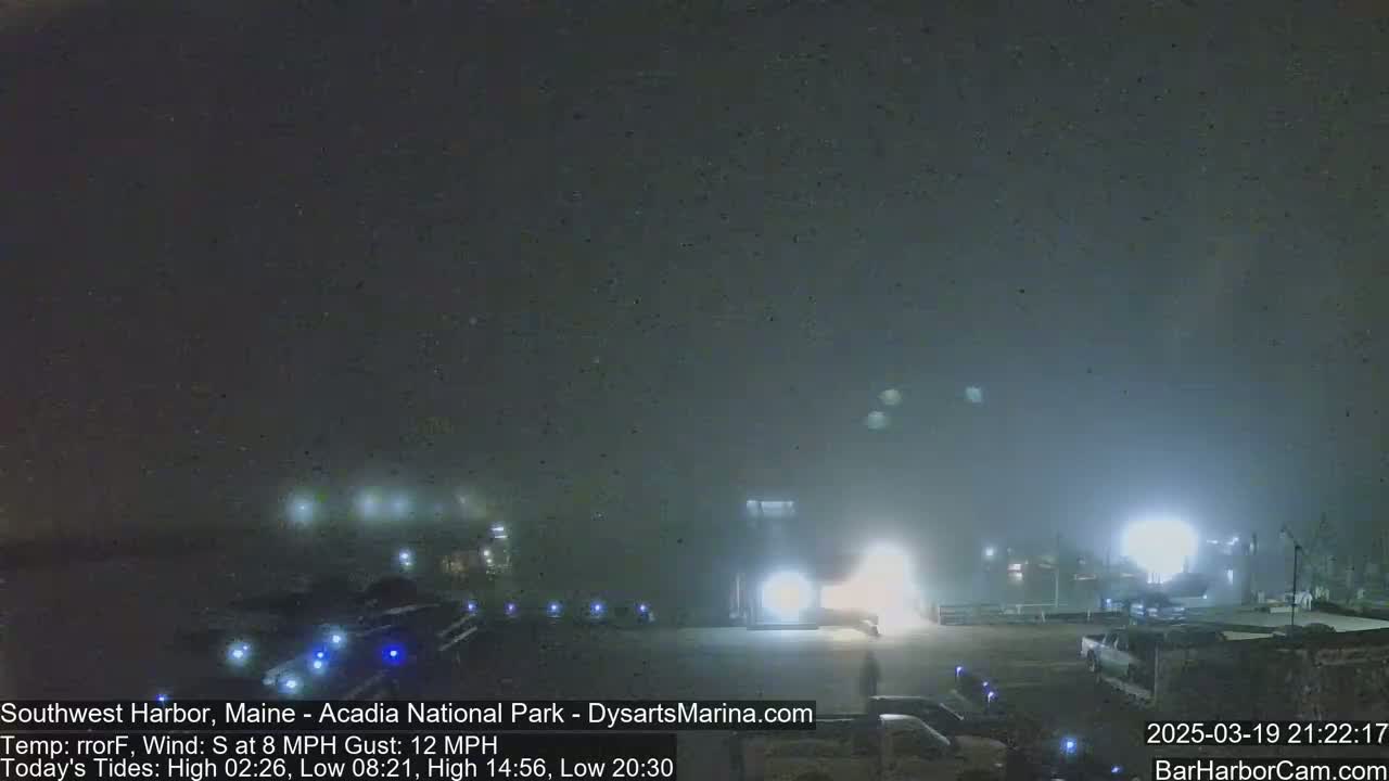 A foggy nighttime scene shows a harbor with parked cars and faint lights in the distance, under an 8 mph south wind with 12 mph gusts.