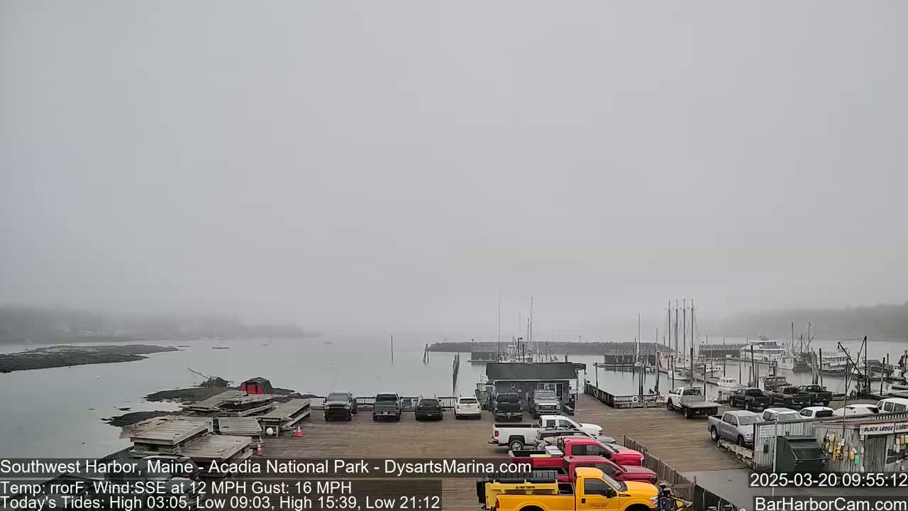 A foggy harbor scene shows a parking lot with several vehicles next to a dock with boats moored, and calm water extending to a hazy shoreline.