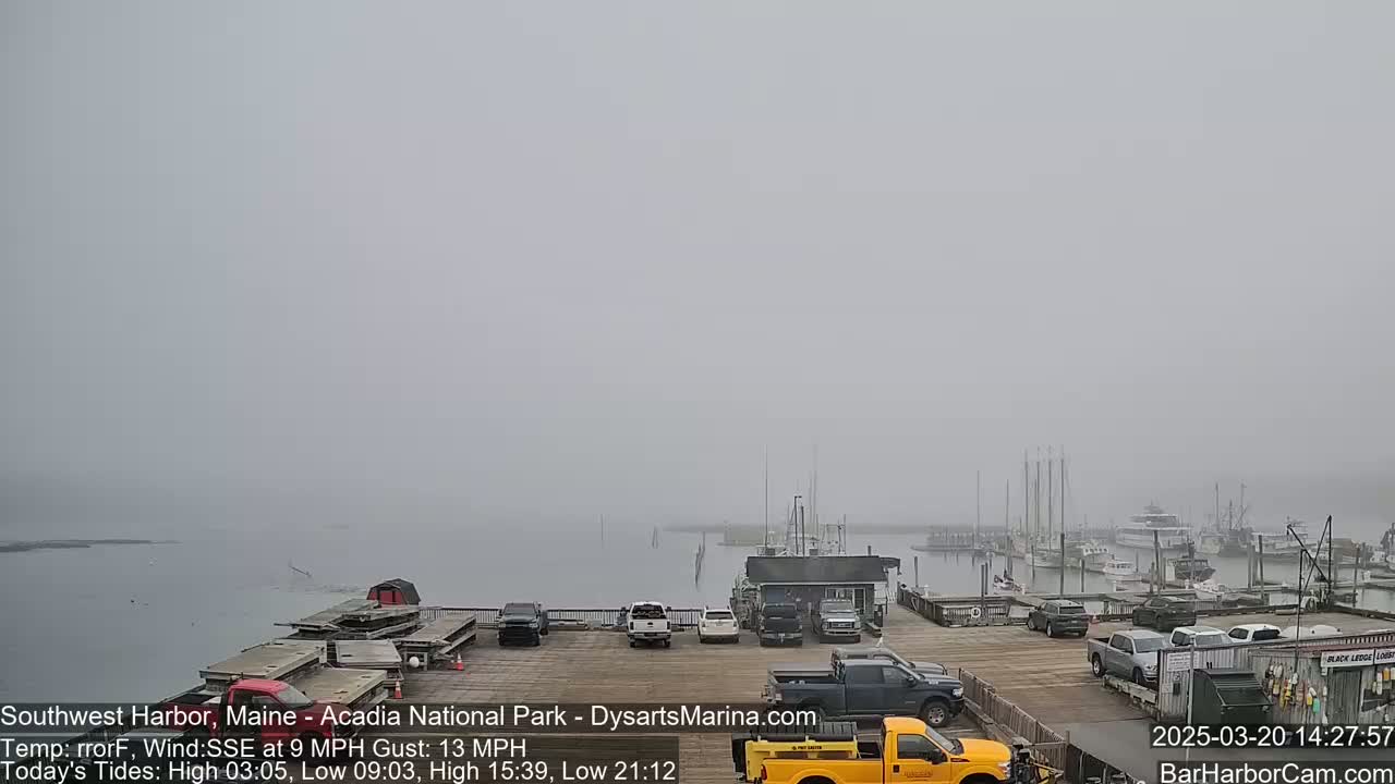 A foggy harbor scene shows several boats docked, with vehicles parked on a nearby pier.
