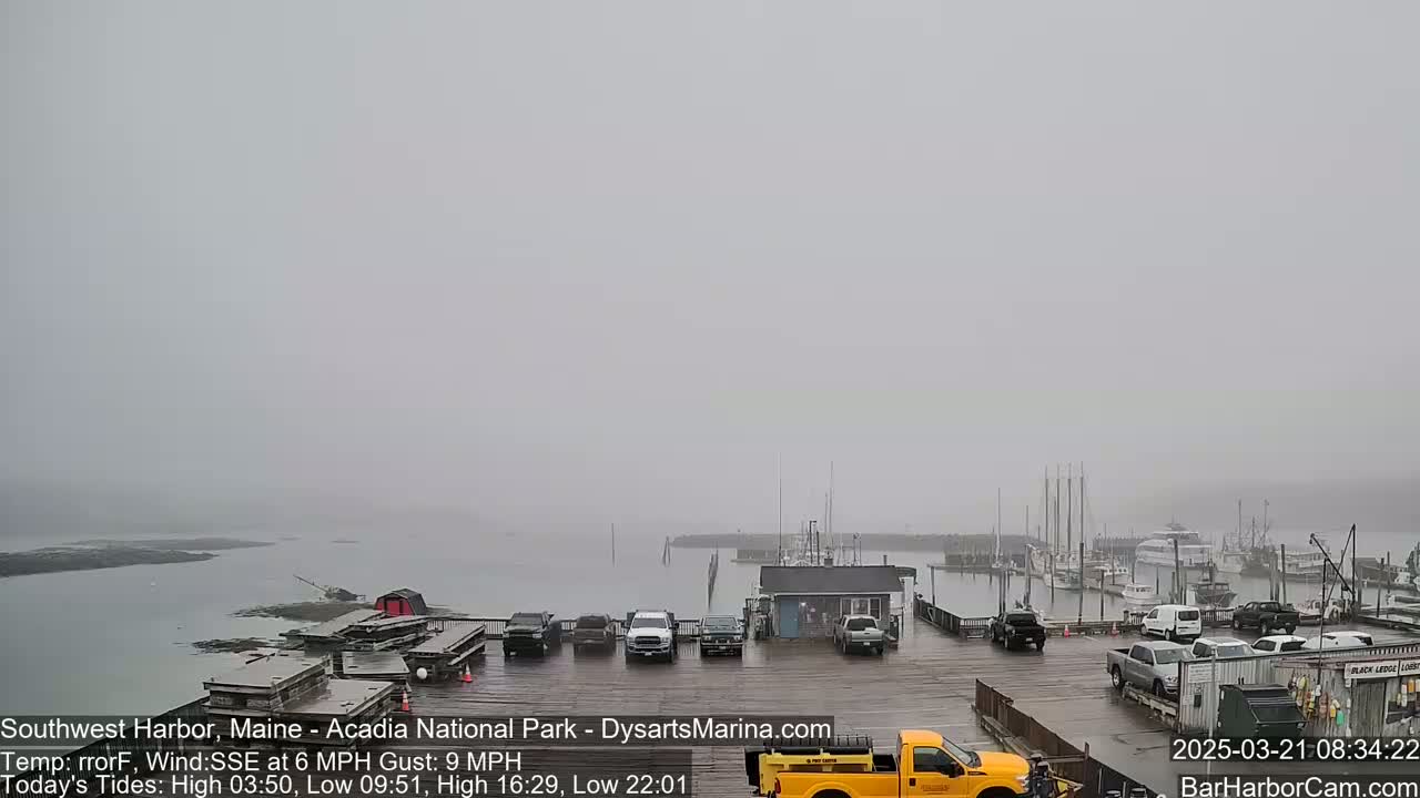 A foggy harbor scene shows a parking lot with several vehicles, a dock with numerous boats, and calm water extending to a hazy horizon.