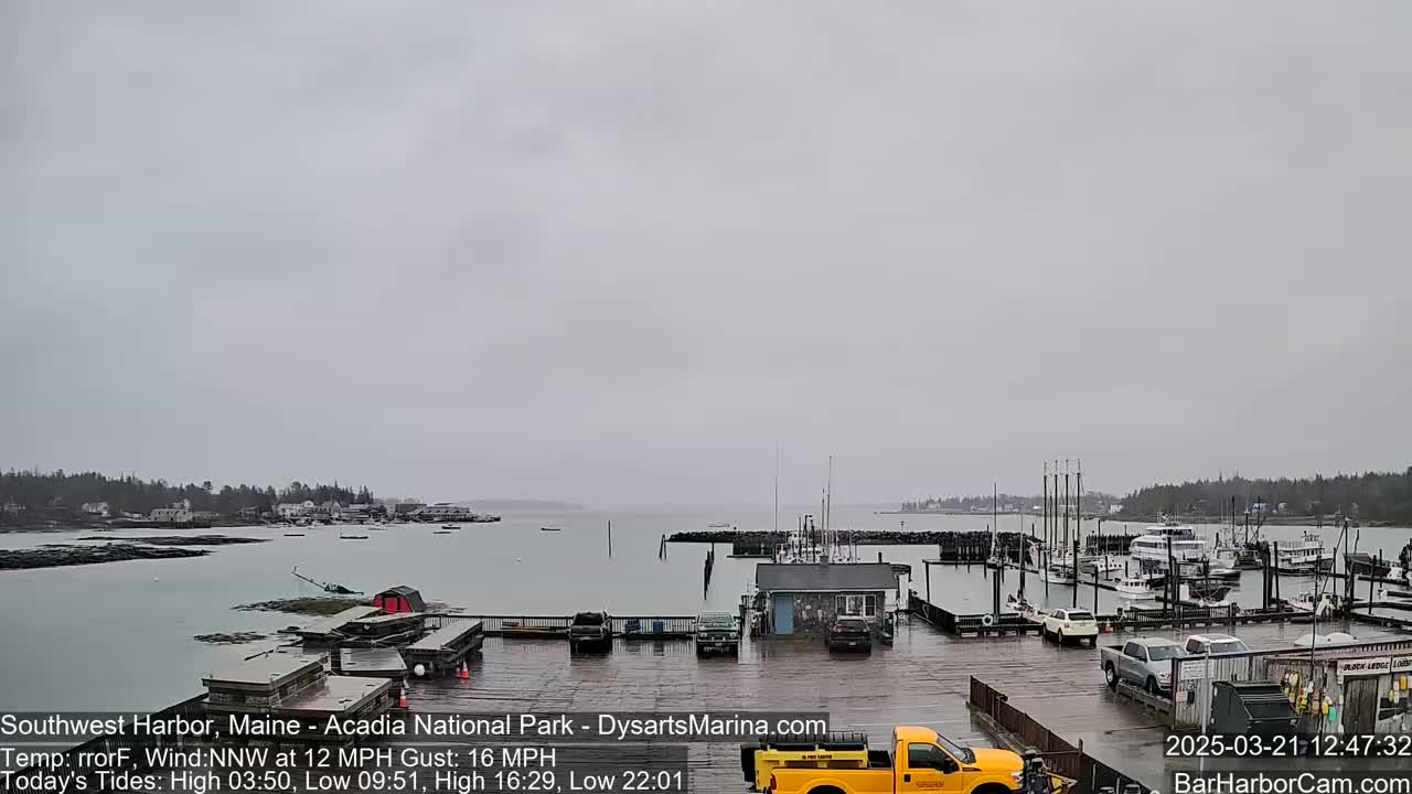 A harbor with boats docked and several cars parked in a lot under an overcast sky.
