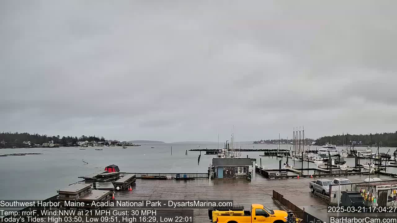 A harbor with numerous boats docked under an overcast sky, with a light wind and rain.