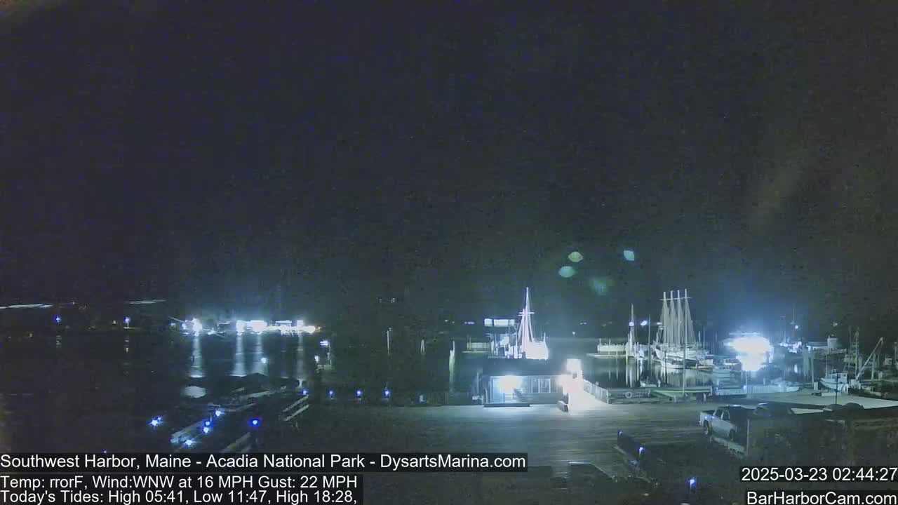 A nighttime harbor scene shows boats docked at a marina under a dark, clear sky.