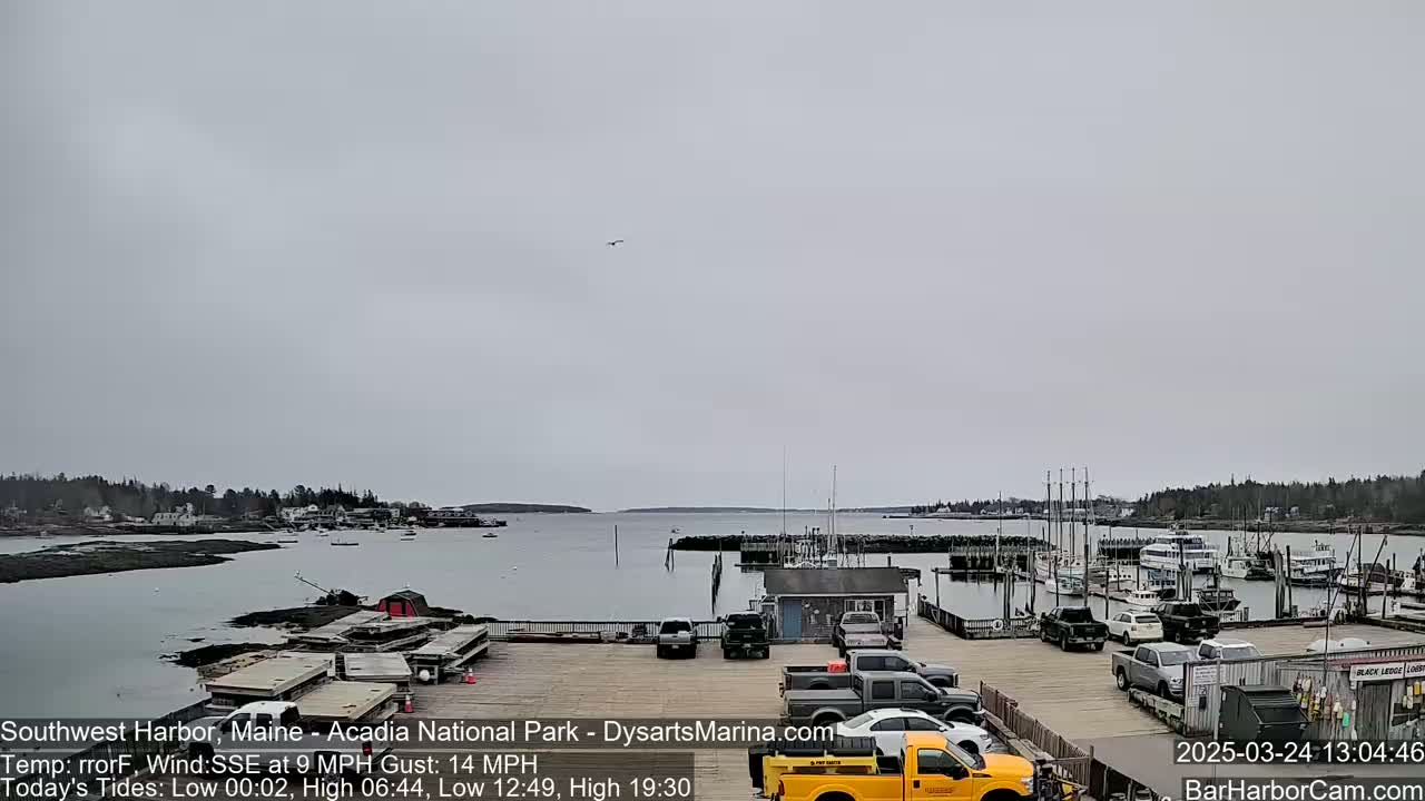 A harbor with boats docked, cars in a parking lot, and a calm body of water under an overcast sky.