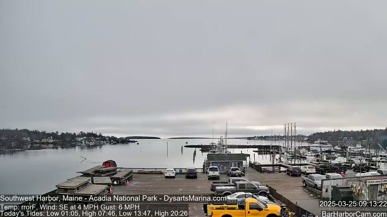 A harbor with numerous boats docked at a marina under an overcast sky.