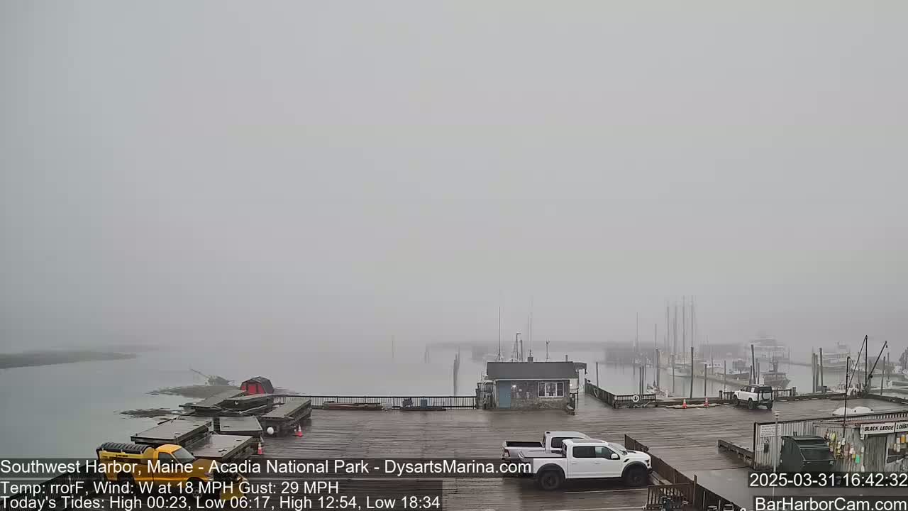 A foggy harbor scene shows a mostly empty dock with a few vehicles parked, and several boats in the distance.