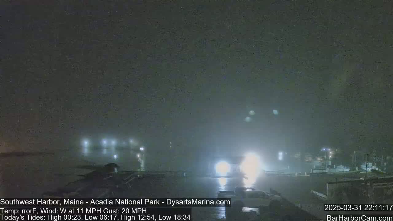 A nighttime harbor scene is shrouded in fog with lights visible from buildings and vehicles in the distance, under windy conditions.