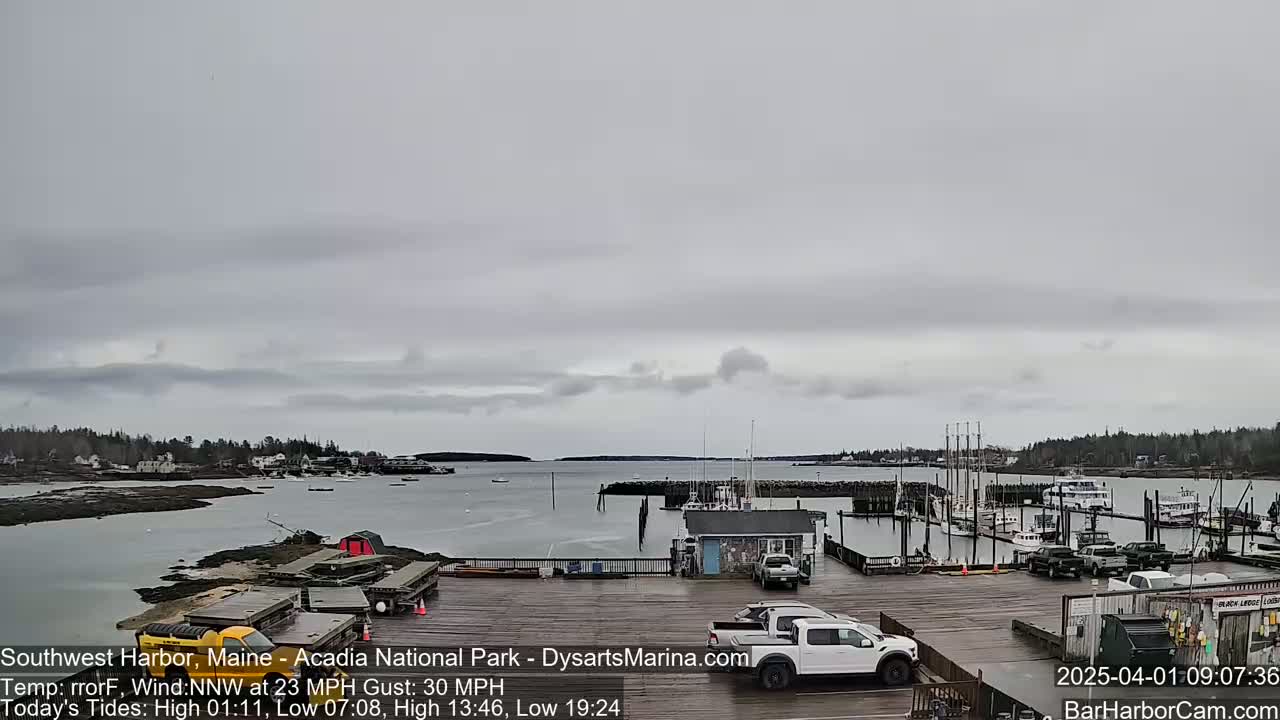 A harbor with boats docked under an overcast sky, a moderate wind blowing.