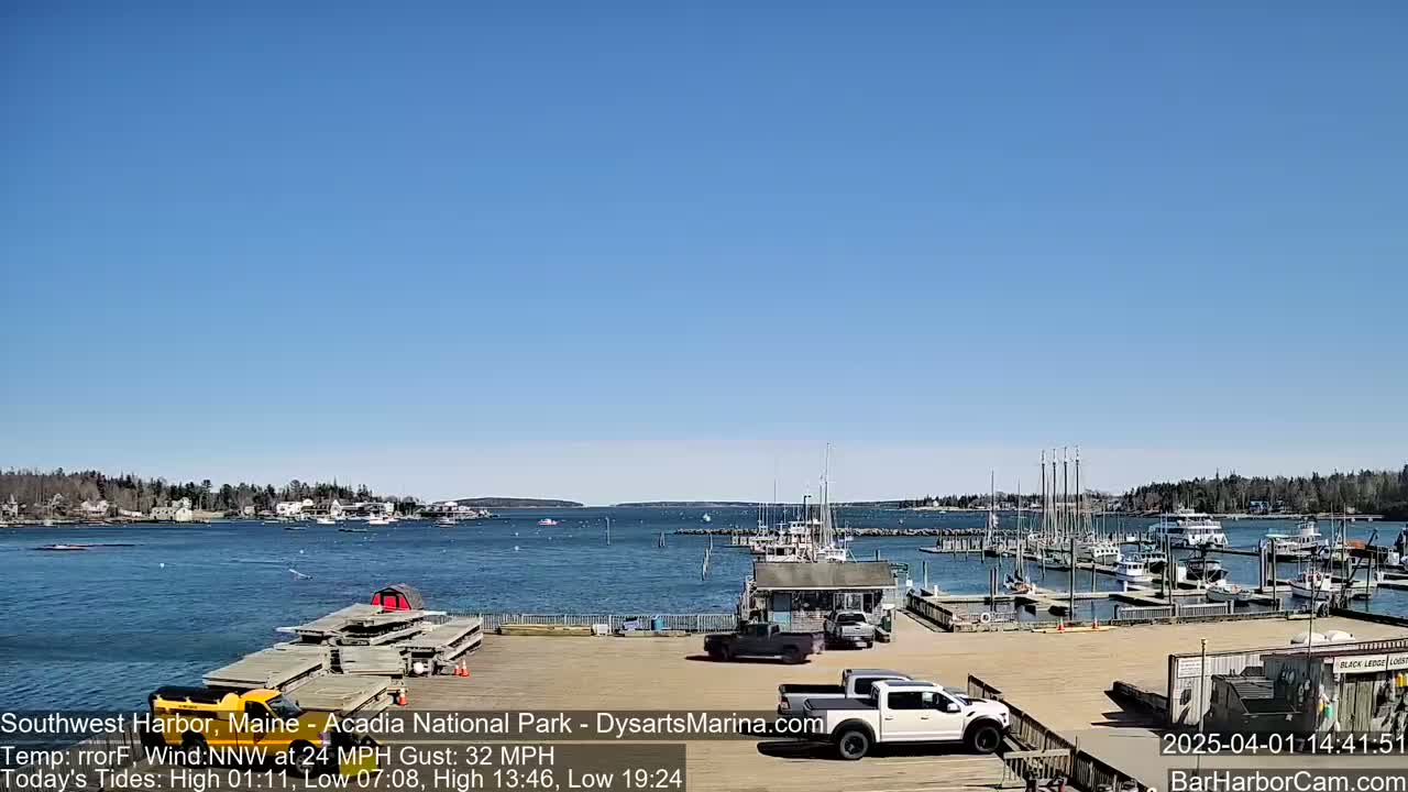 A harbor with numerous boats docked under a clear blue sky, and a moderate breeze.