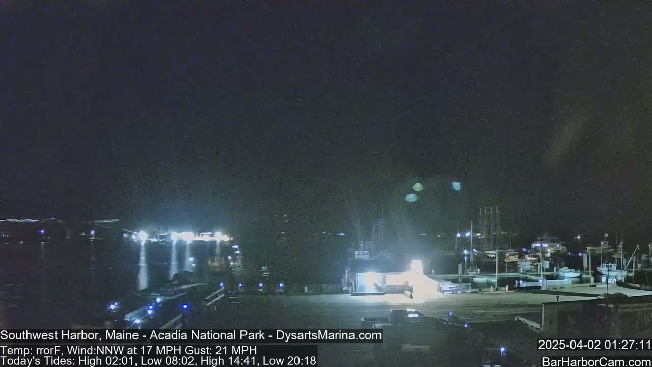 A nighttime harbor scene with boats docked, illuminated by lights, under a clear, dark sky.