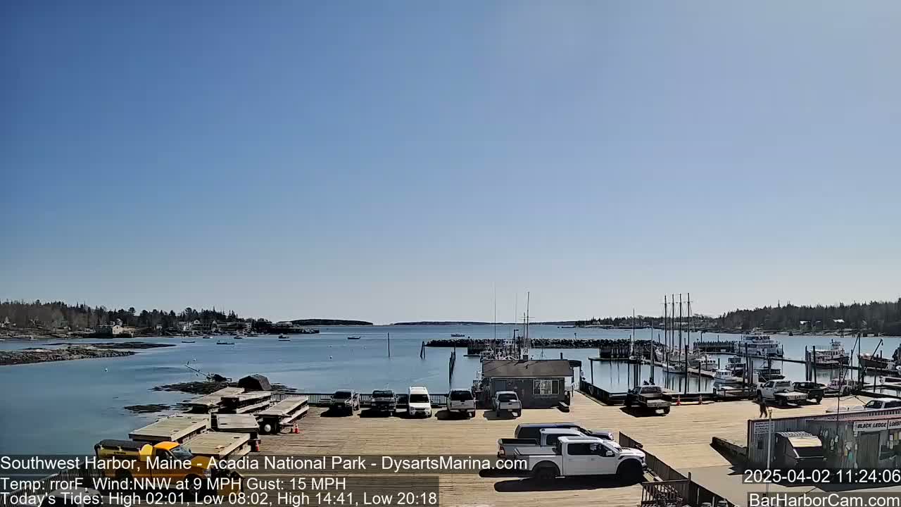 A sunny day shows a harbor with numerous boats docked, a few cars in a parking lot, and a calm body of water extending to a treeline in the distance.