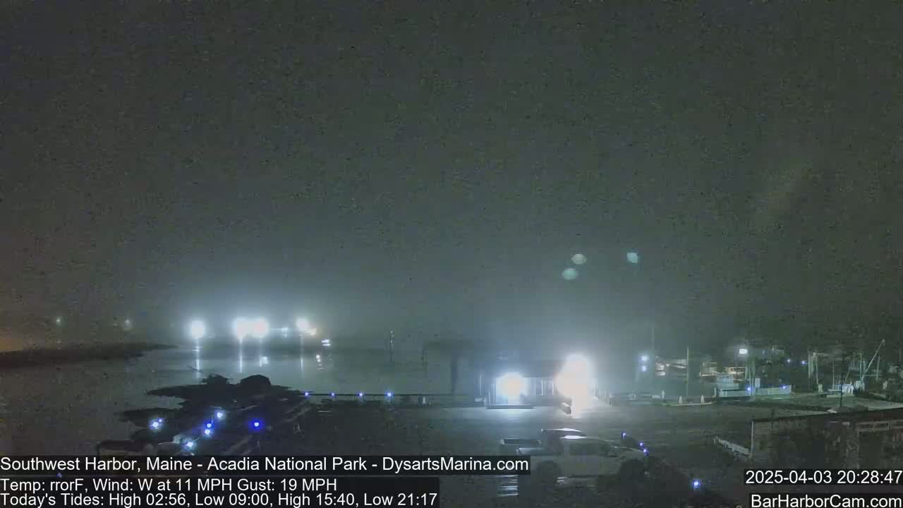 A foggy nighttime harbor scene shows lights illuminating a marina and a body of water under a dark sky.