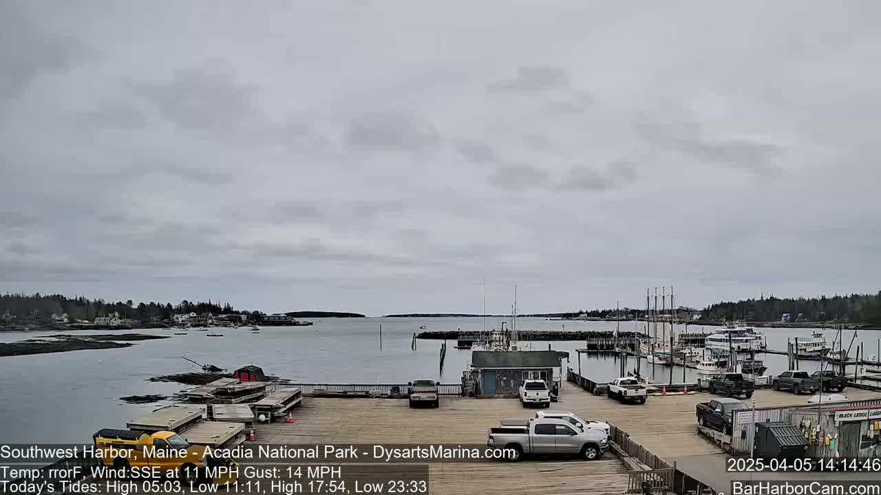 A harbor with boats docked, several cars in a parking lot, and a calm body of water under an overcast sky.