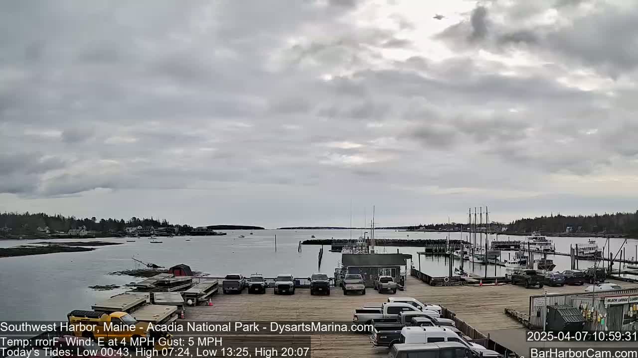 A harbor with numerous boats and cars parked on a dock under a cloudy sky.