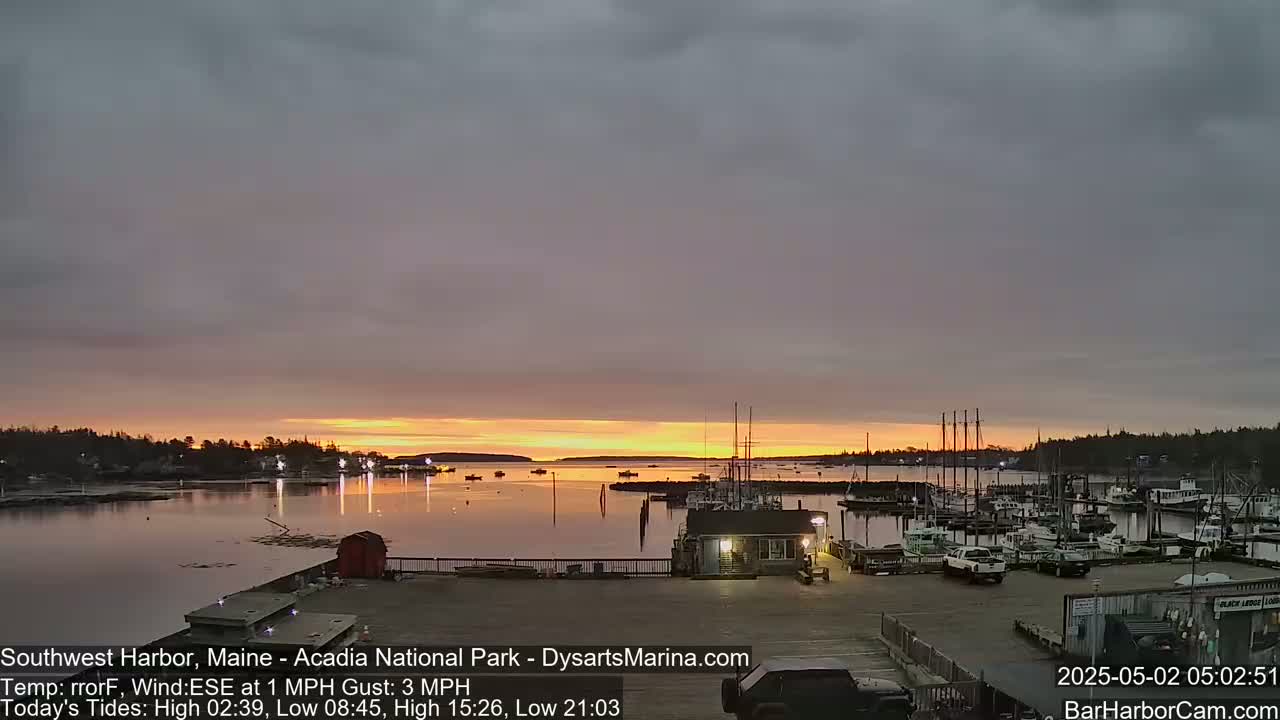 A sunrise casts a warm glow over a calm harbor filled with numerous boats docked at a marina, under a mostly cloudy sky.