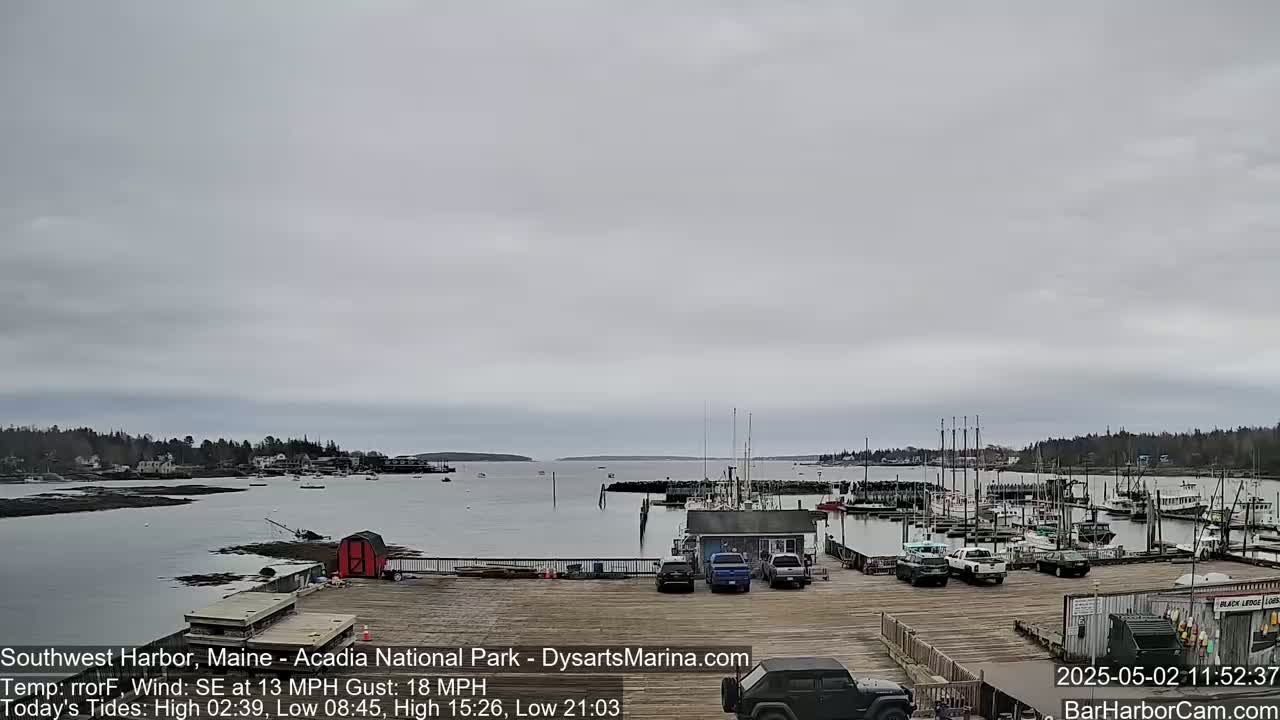 A harbor with numerous boats docked, a wooden pier with several vehicles parked, and a calm, overcast sky.