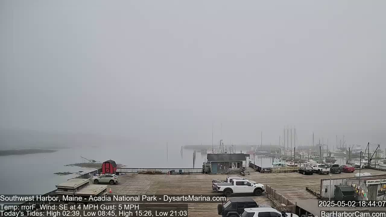 A foggy harbor scene shows a wooden dock with several vehicles parked, overlooking a calm body of water with numerous boats in the distance.