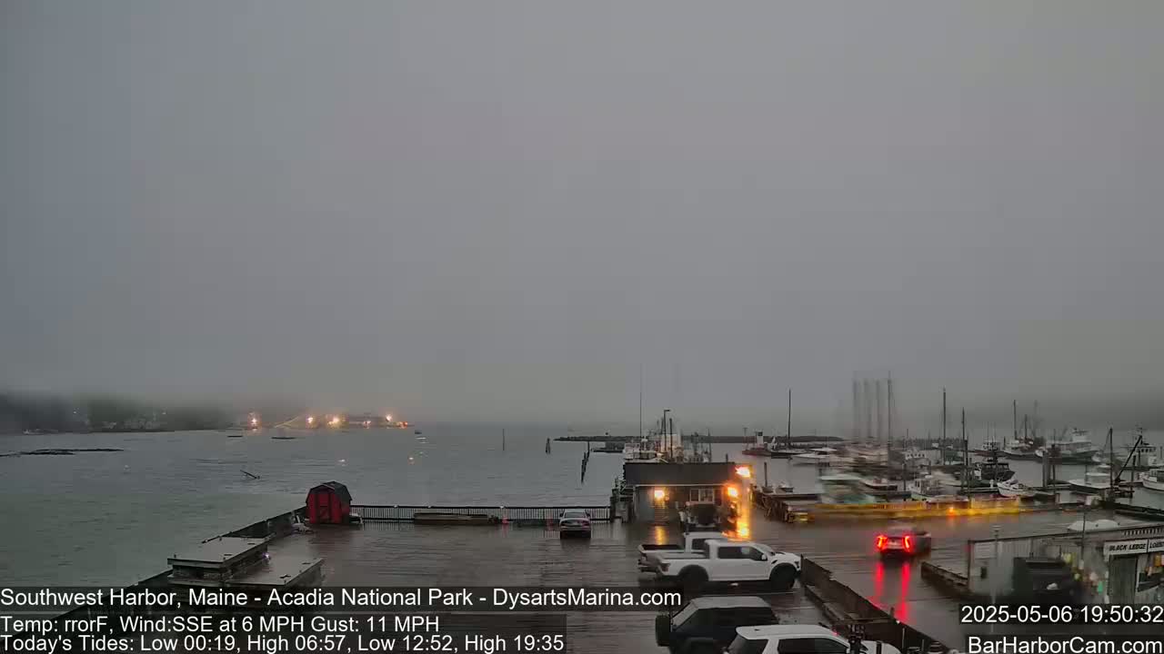 A foggy harbor scene shows a marina with boats and cars in a parking lot, under a gray sky with a light wind.
