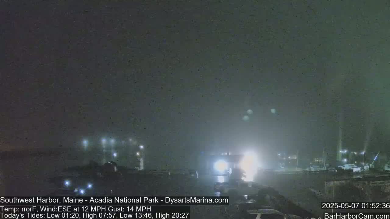 A nighttime harbor scene shrouded in fog, with lights illuminating boats and buildings.