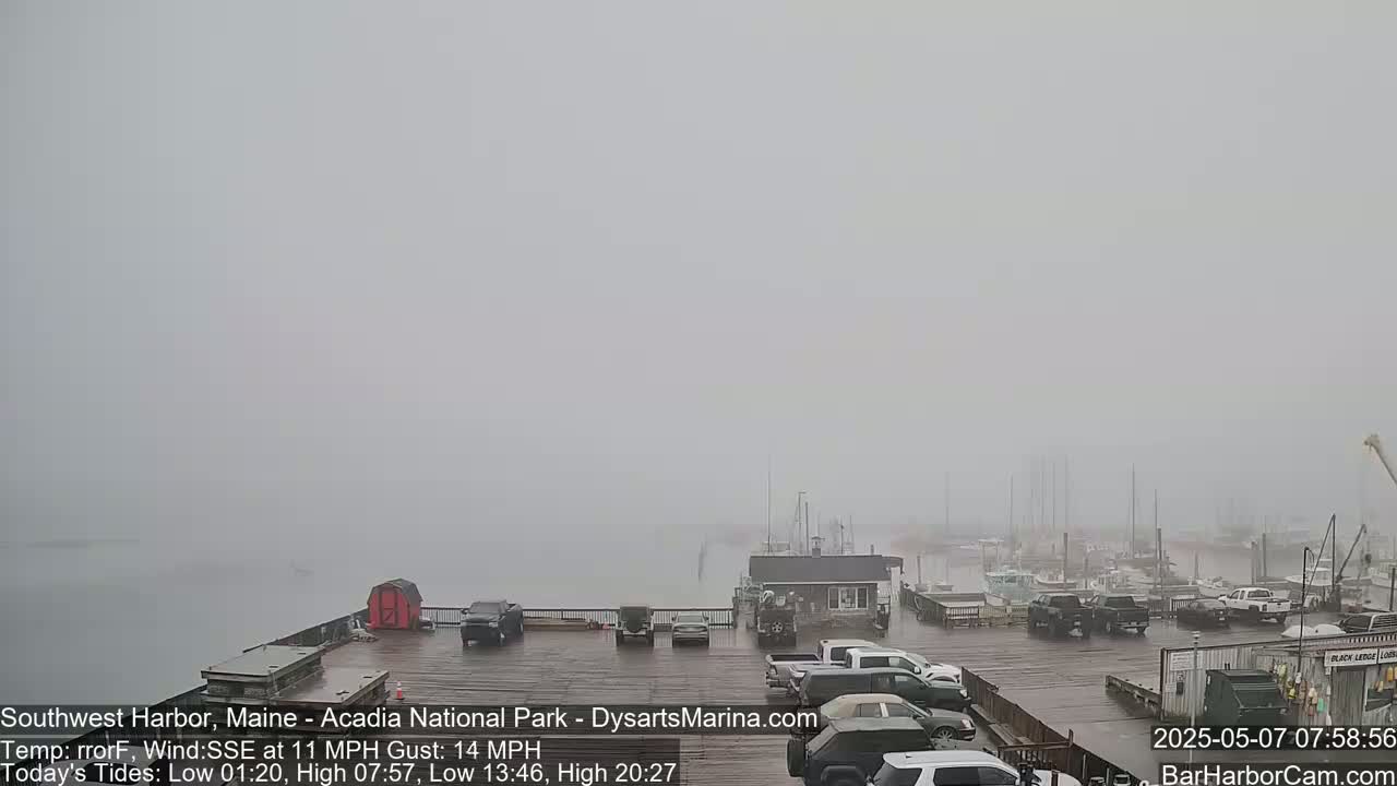 A foggy harbor scene shows several cars parked on a wet dock, with boats and a building visible in the distance.
