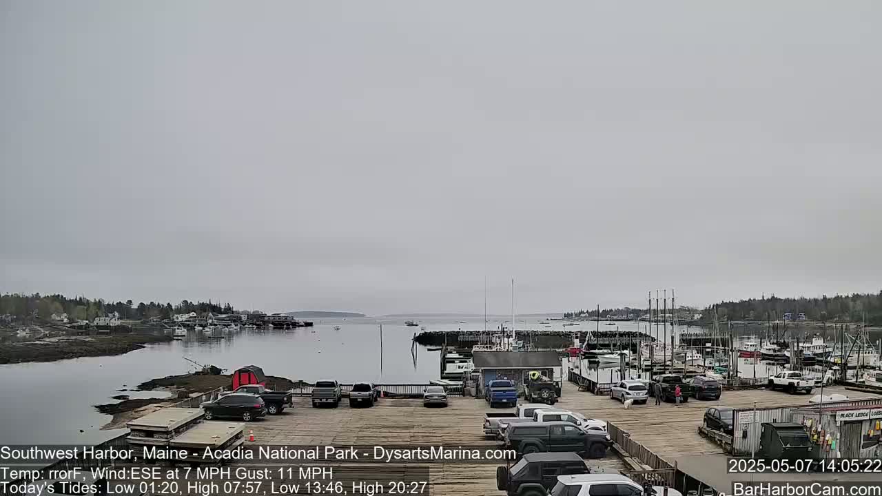 A harbor with numerous boats docked, cars parked in a lot, and a small town across the water under an overcast sky.