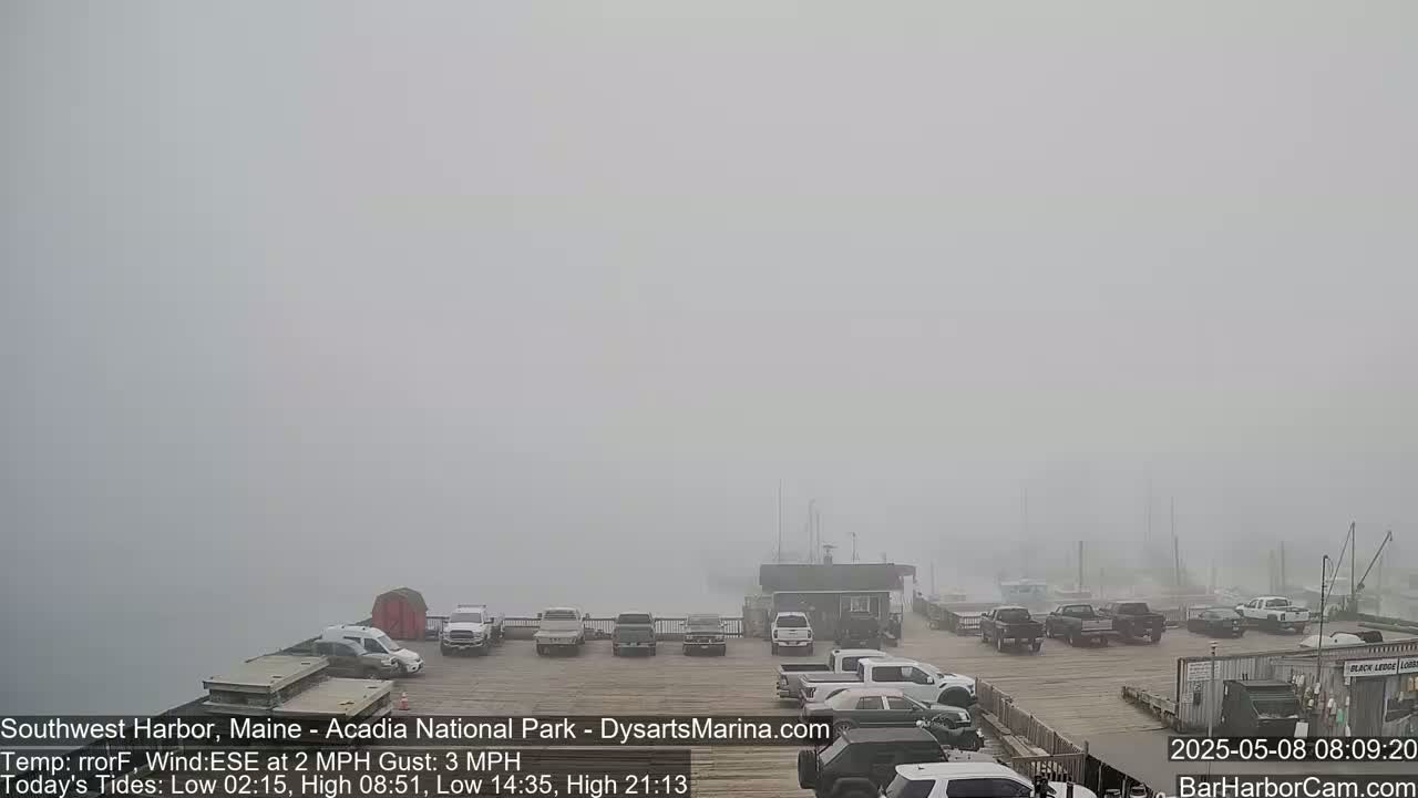 A foggy harbor scene shows a parking lot filled with cars and trucks next to a pier and water.