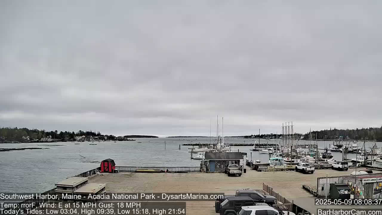 A harbor with numerous boats docked under an overcast sky.