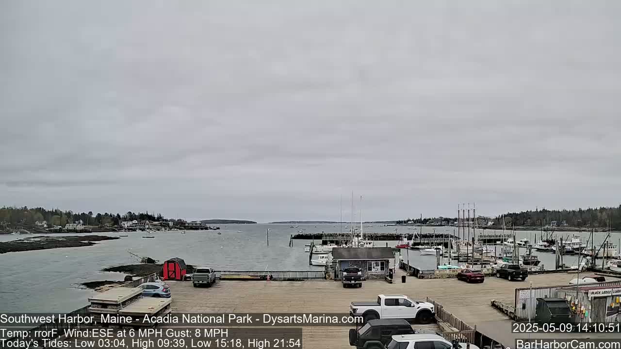 A harbor filled with boats under an overcast sky.