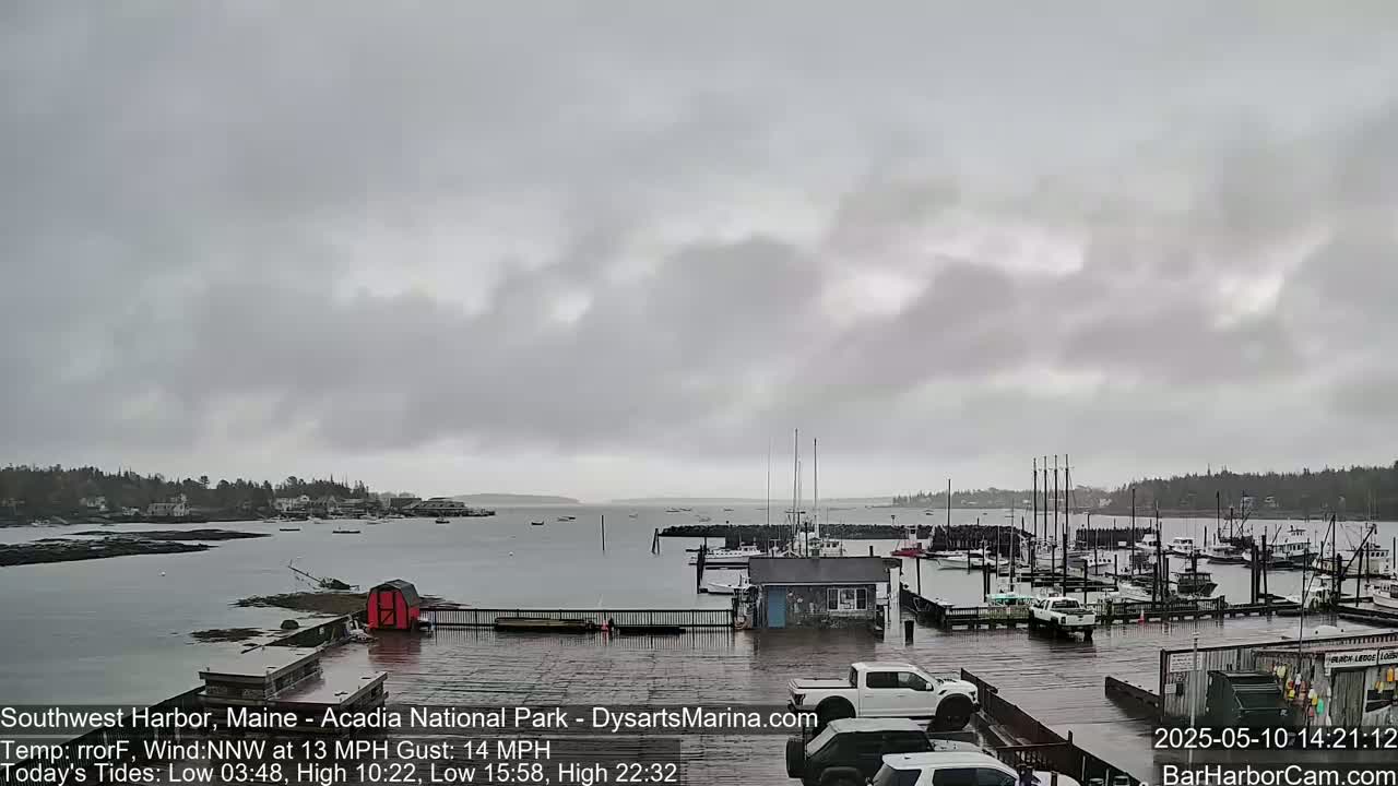 A wet harbor filled with boats is seen under a cloudy, overcast sky.
