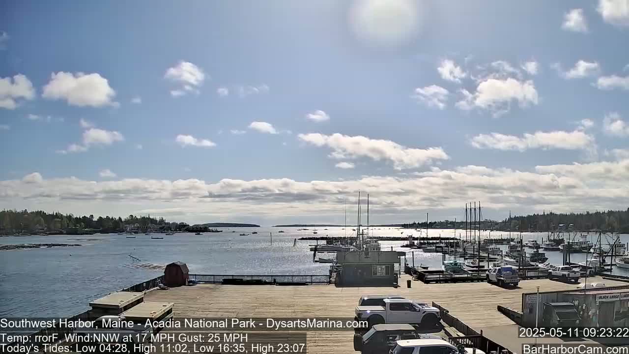 A harbor with numerous boats docked under a partly cloudy sky, with a gentle breeze.