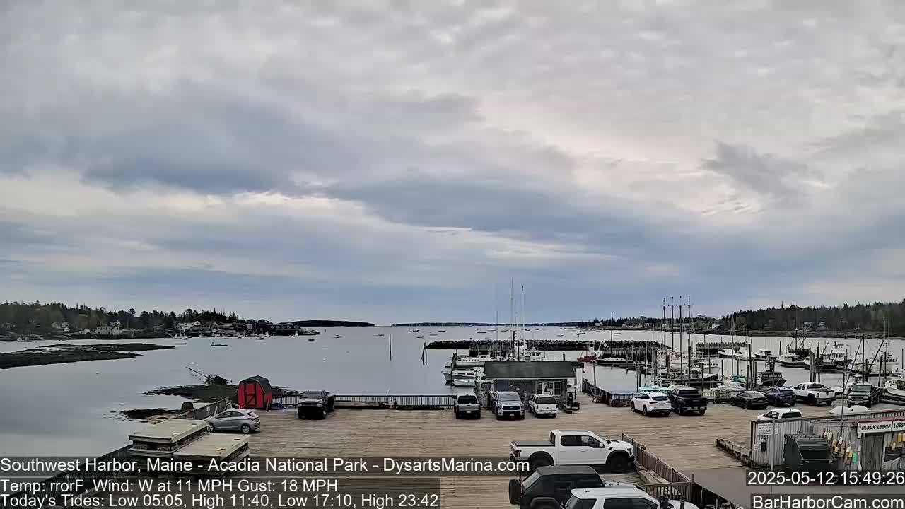 A harbor with numerous boats and cars parked on a dock under an overcast sky.