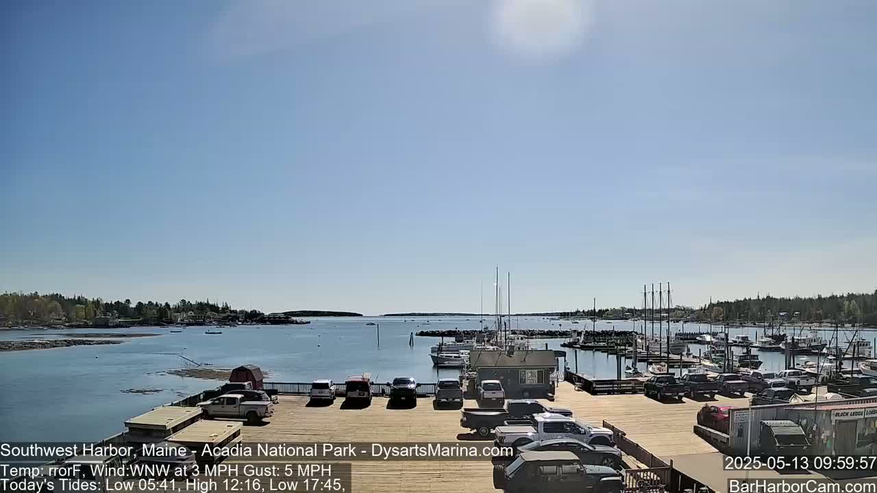 A harbor with a calm body of water, docked sailboats, and a parking lot filled with vehicles under a clear, sunny sky.