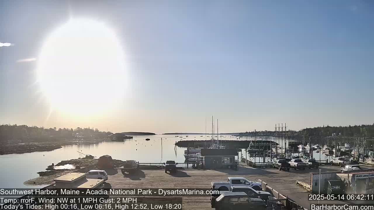 A bright, sunny day reveals a harbor filled with boats and cars parked along a wooden dock, with calm water and a low-lying shoreline.