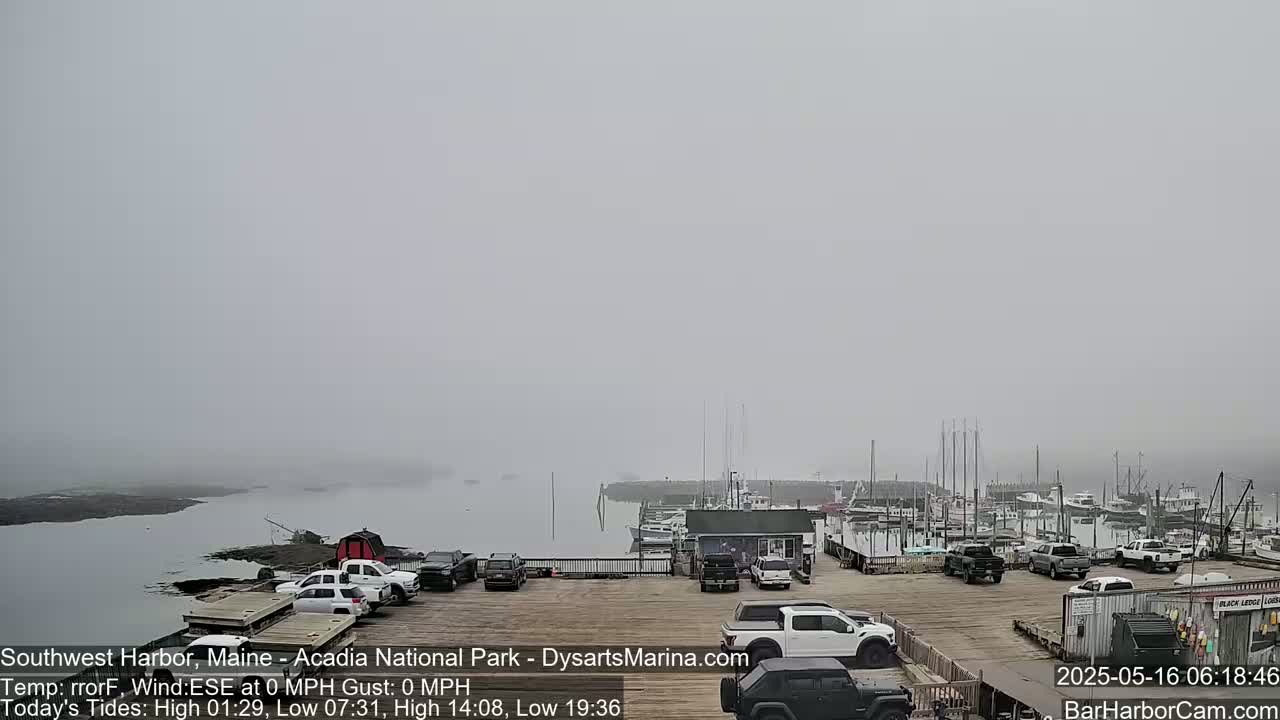 A foggy harbor scene shows a parking lot filled with vehicles next to a dock with numerous boats moored, all under a thick gray fog.