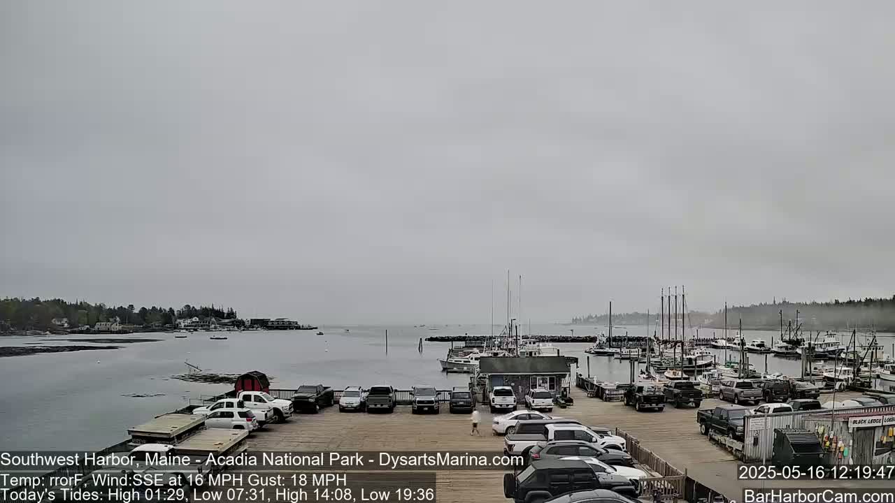 A harbor filled with boats is seen under an overcast sky, with a parking lot full of cars and trucks in the foreground.