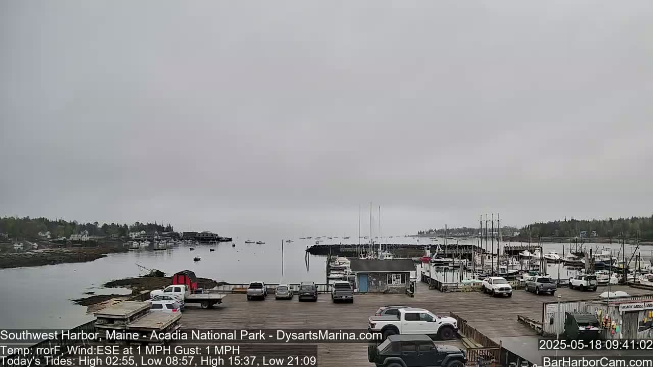 A harbor filled with boats on a calm, overcast day.
