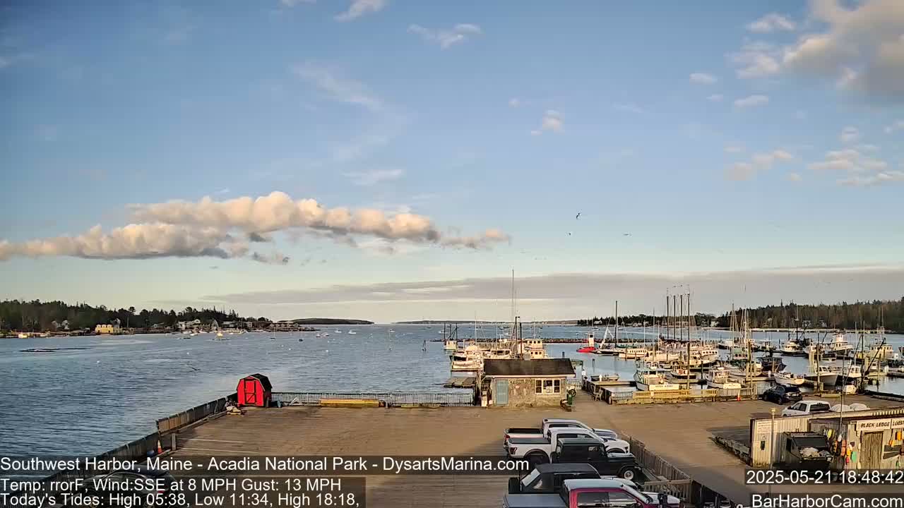 A harbor filled with numerous boats is viewed from a parking lot on a partly sunny day with a long, low cloud formation in the sky.