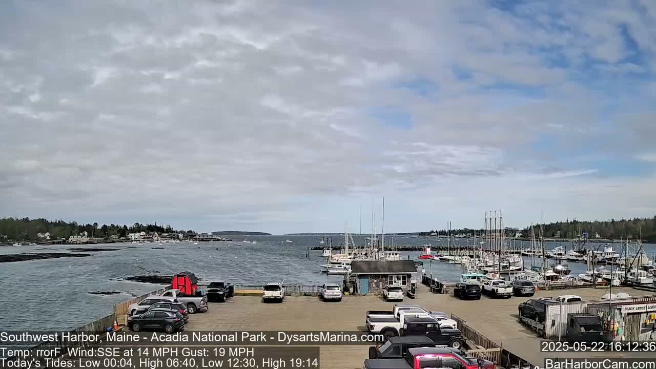 A harbor filled with boats under a mostly cloudy sky, with a parking lot and buildings visible along the shore.