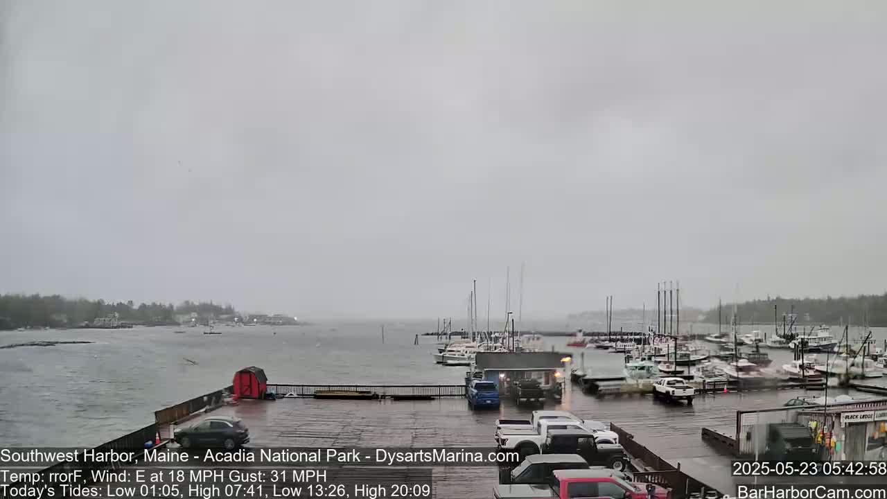 A harbor with many boats in stormy weather, showing a wet parking lot and overcast skies.