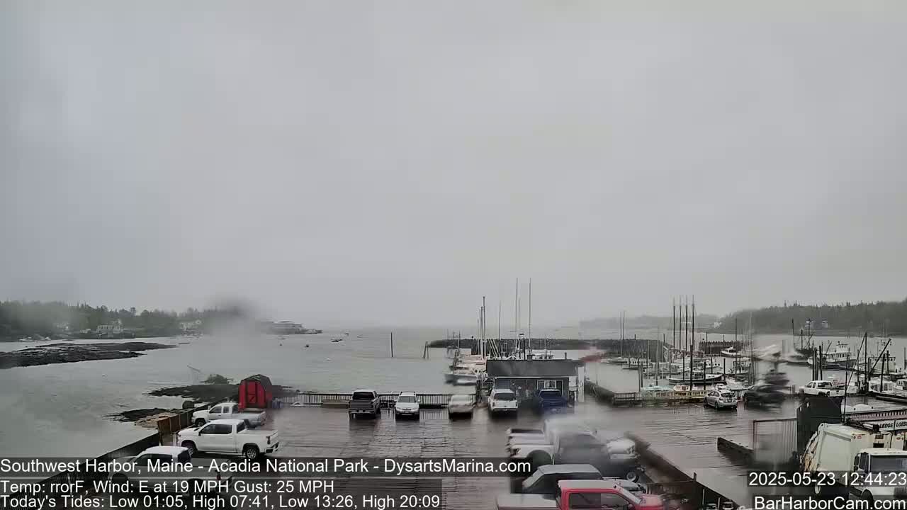 A harbor filled with boats is viewed from a rain-soaked parking lot under an overcast sky.
