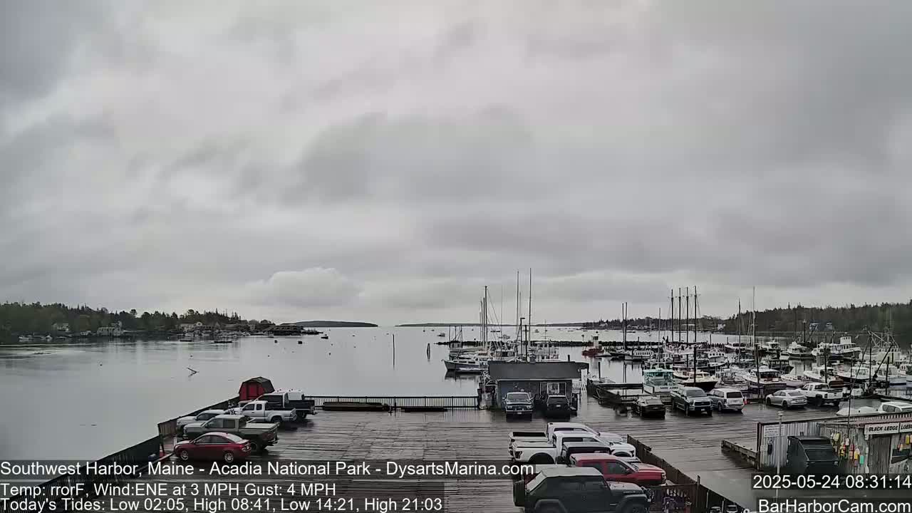 A harbor filled with numerous boats and cars parked on a wet dock under an overcast sky.