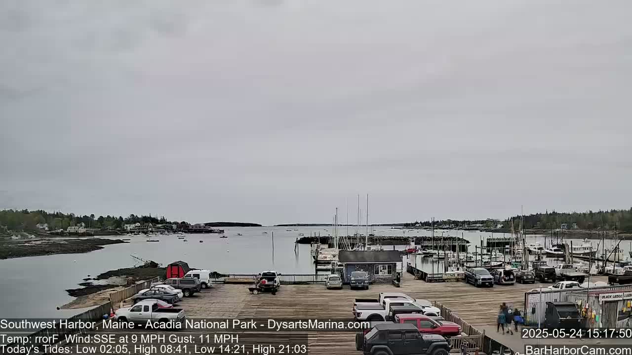 A harbor with numerous boats docked at a marina, under an overcast sky.