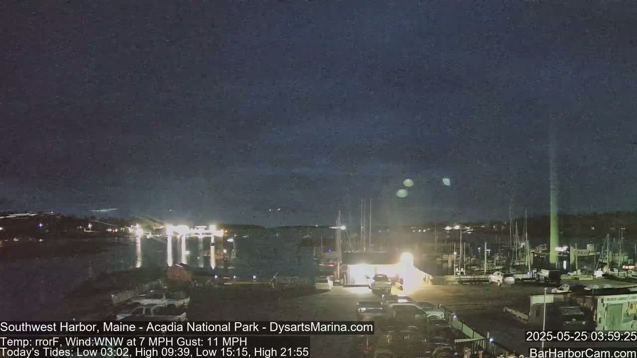 A nighttime view of a harbor with boats and cars, under a dark sky.