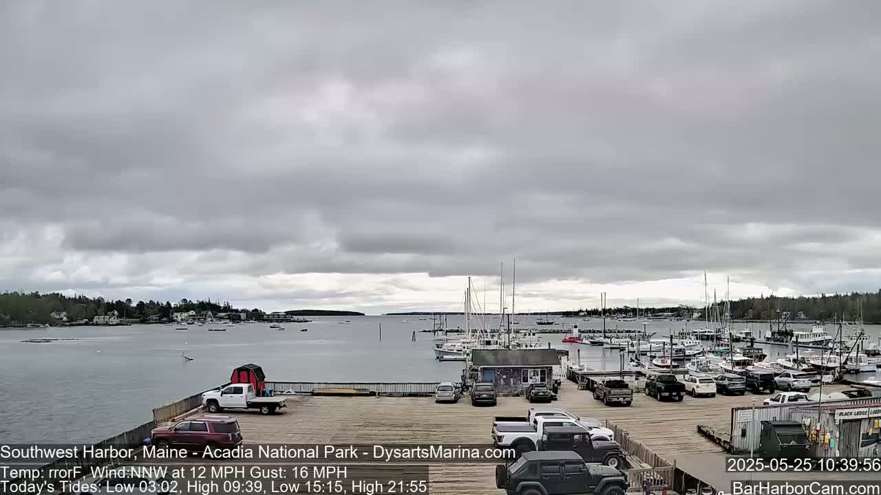 A harbor filled with numerous boats is viewed from a waterfront parking lot under an overcast sky.