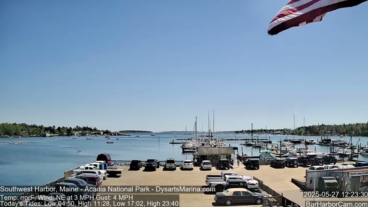 A harbor filled with boats and cars parked in a lot under a clear blue sky, with a gentle northeast wind.