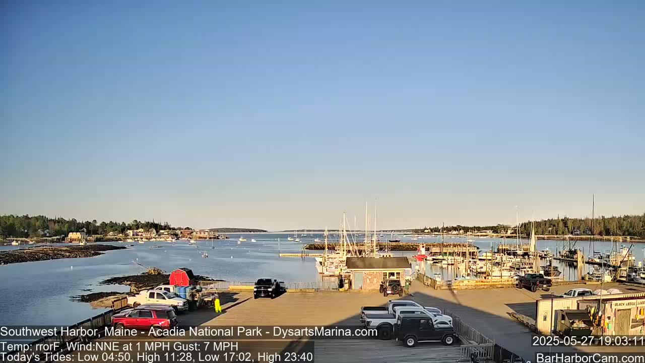 A harbor with numerous boats docked, a few cars in a parking lot, and a clear sky.